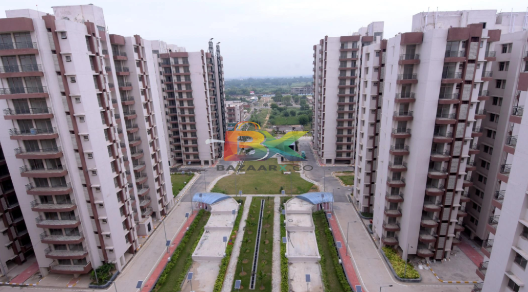 BZX Property
