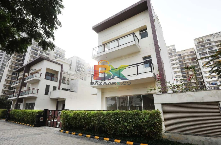 BZX Property