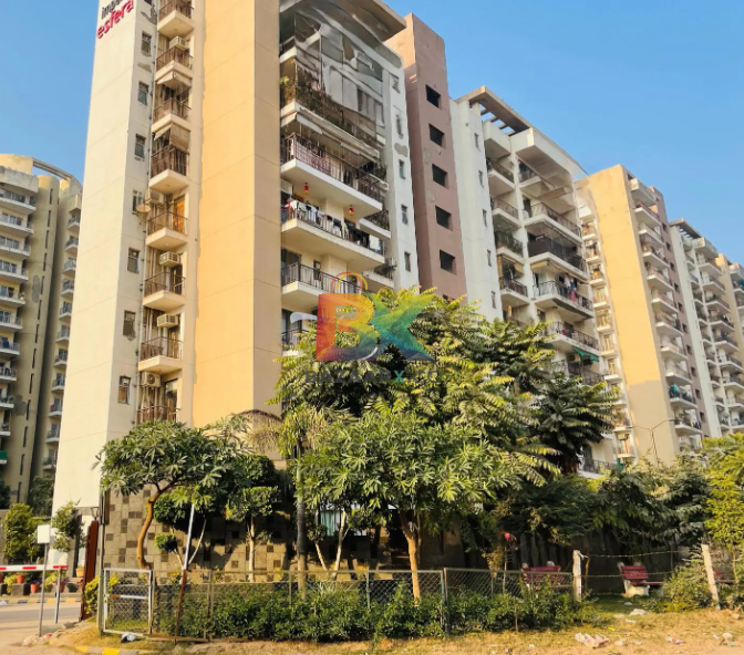 BZX Property