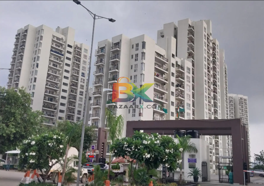 BZX Property