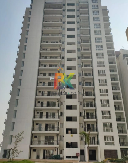 BZX Property