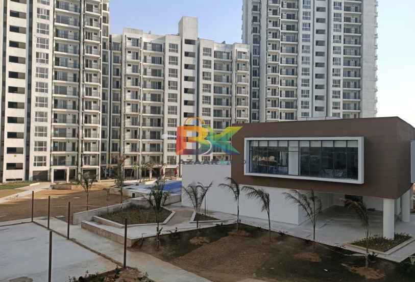 BZX Property