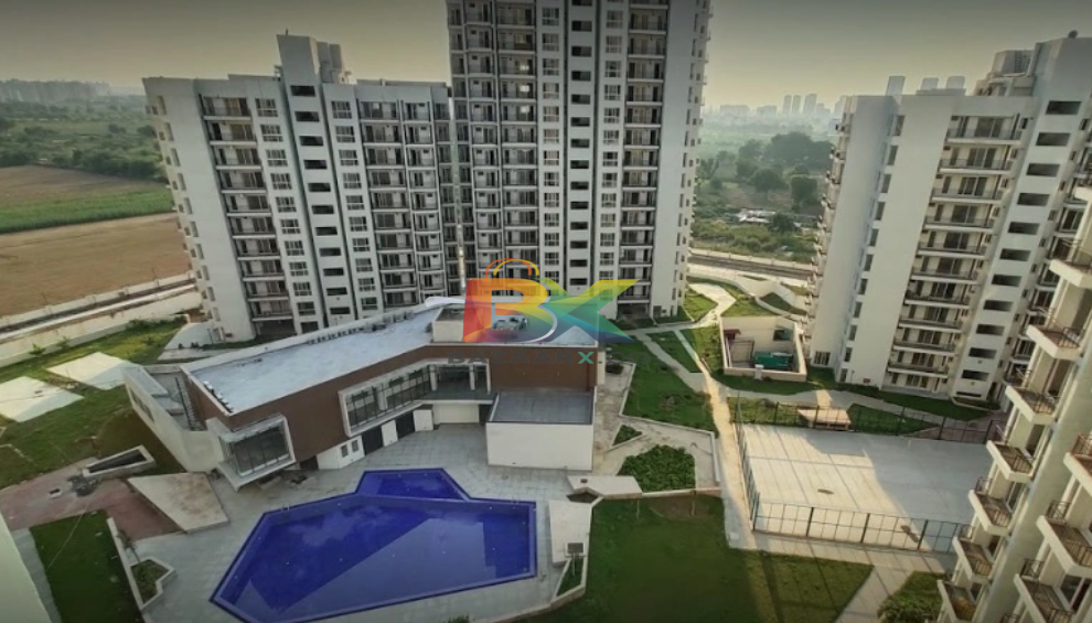 BZX Property
