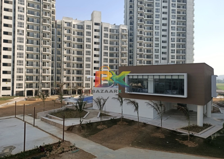 BZX Property