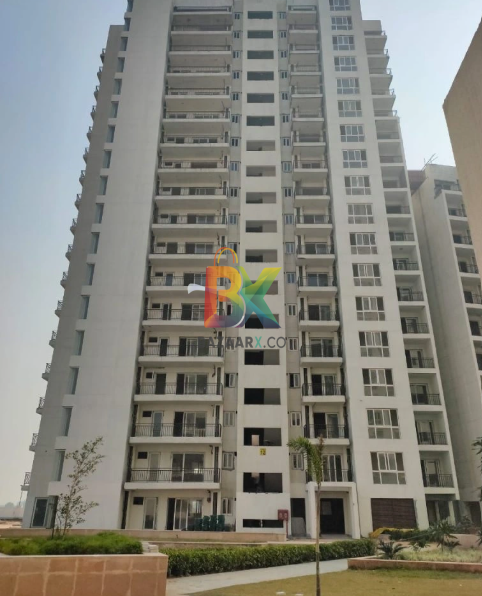 BZX Property
