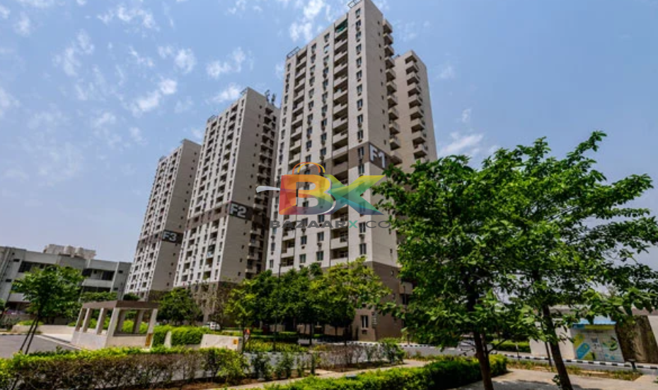 BZX Property