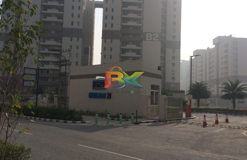 BZX Property