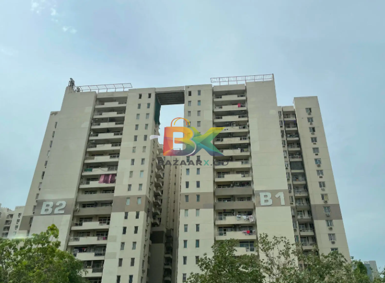 BZX Property