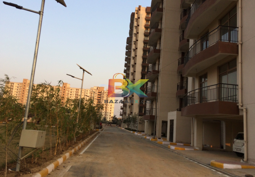 BZX Property