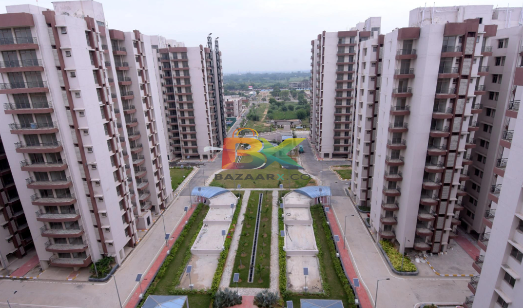 BZX Property