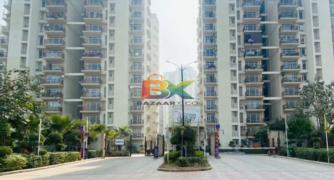 BZX Property