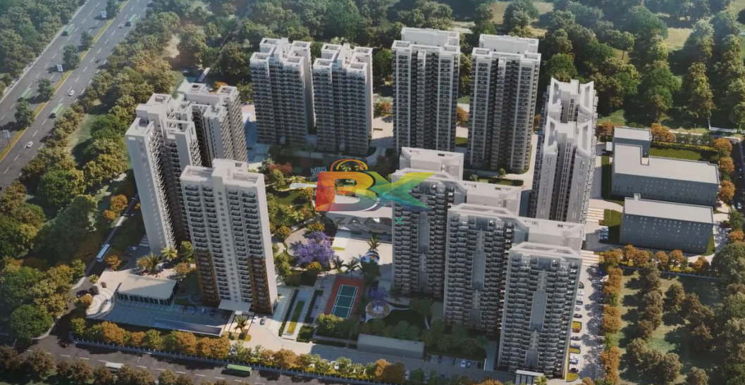 BZX Property