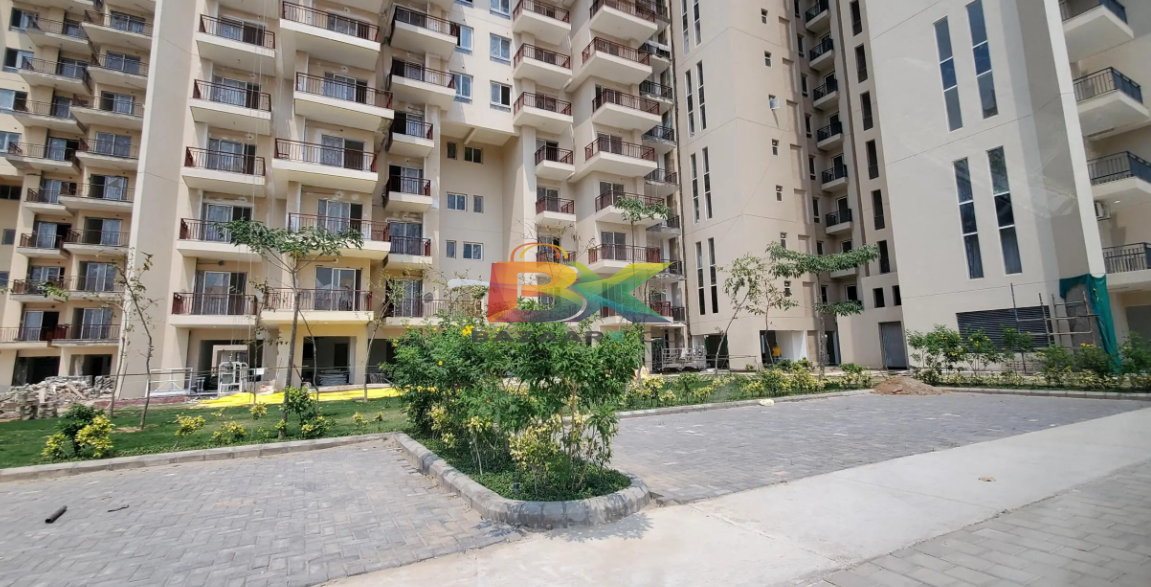 BZX Property