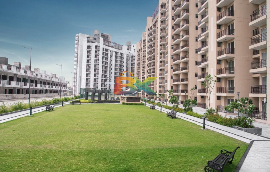 BZX Property