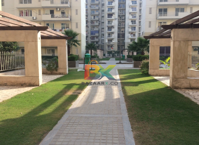 BZX Property