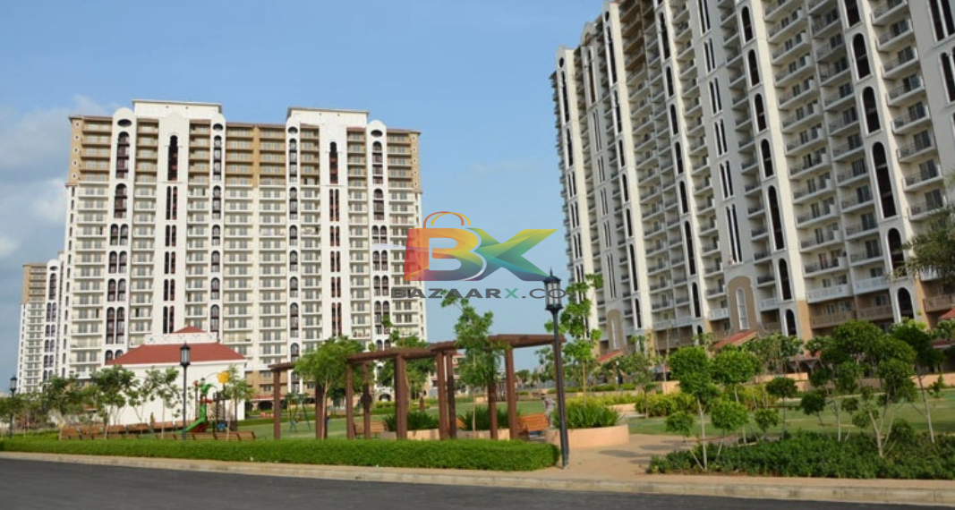 BZX Property