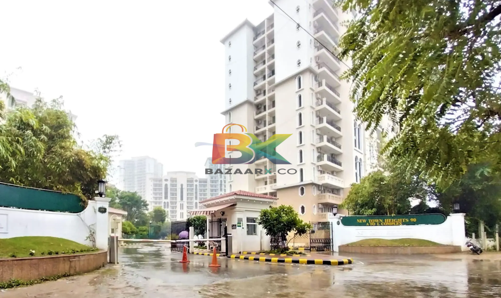 BZX Property