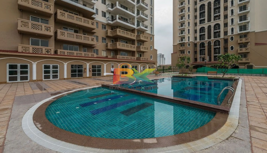 BZX Property