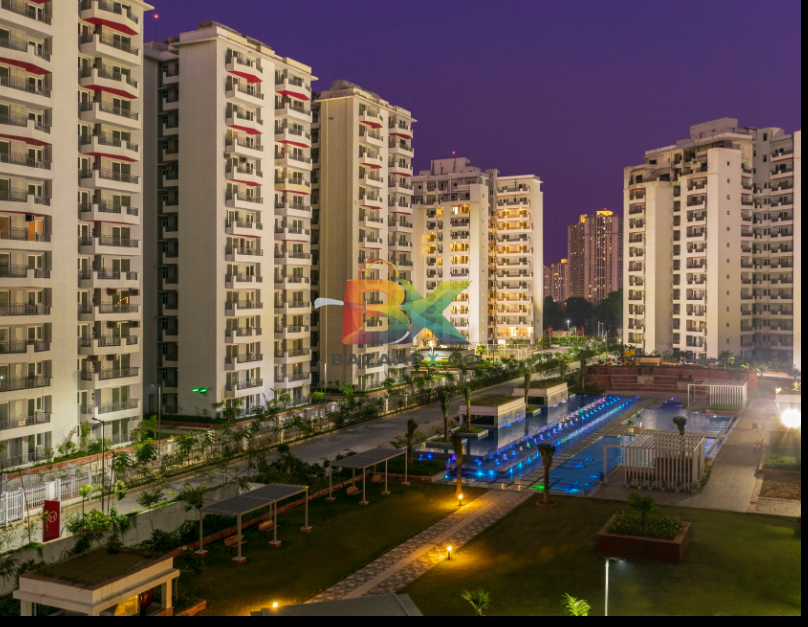 BZX Property