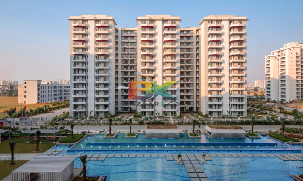 BZX Property