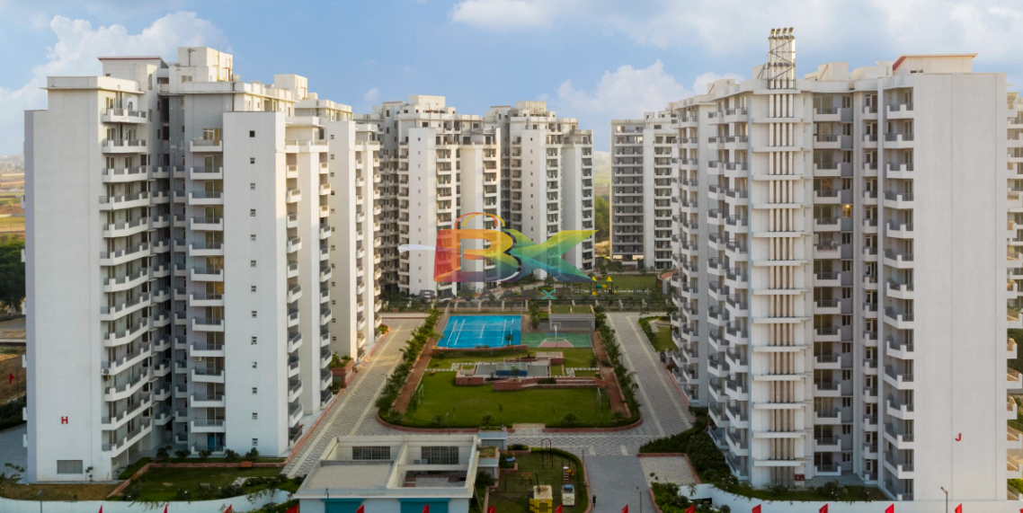 BZX Property