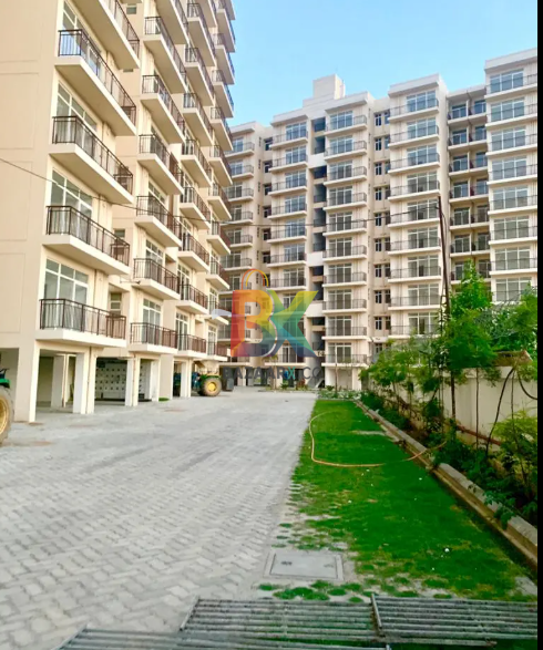 BZX Property