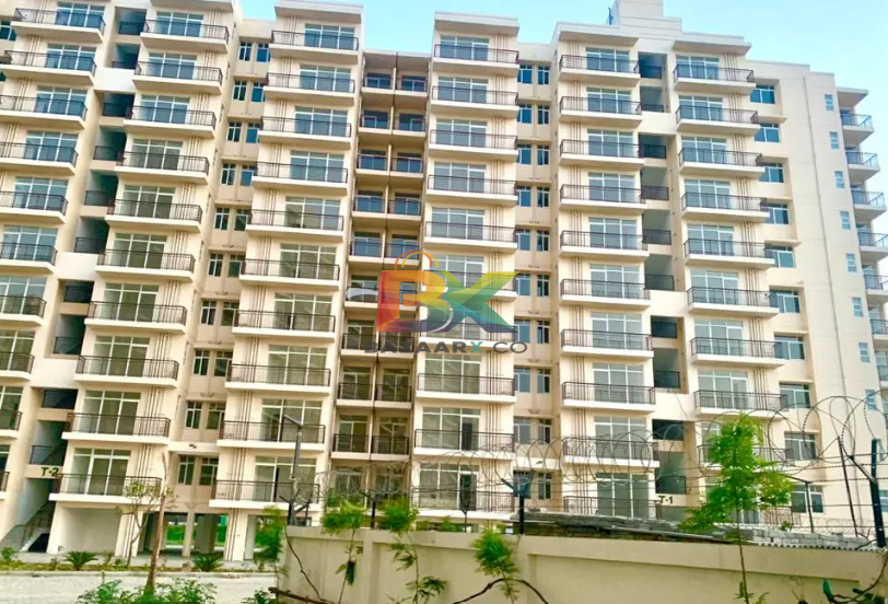 BZX Property