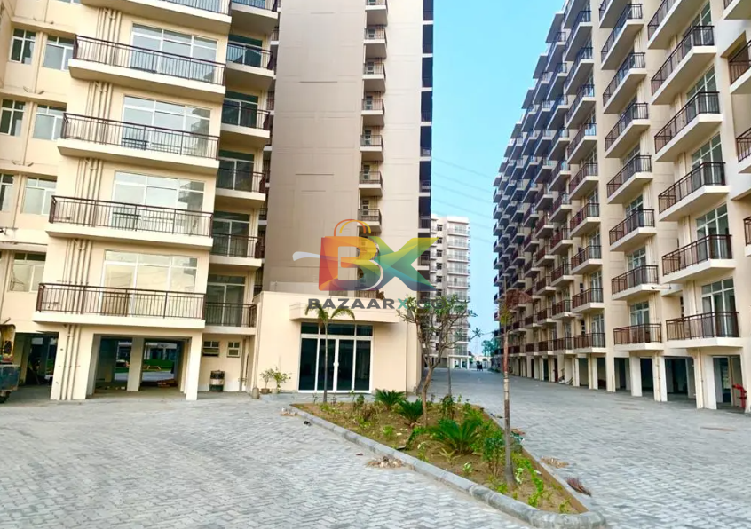 BZX Property