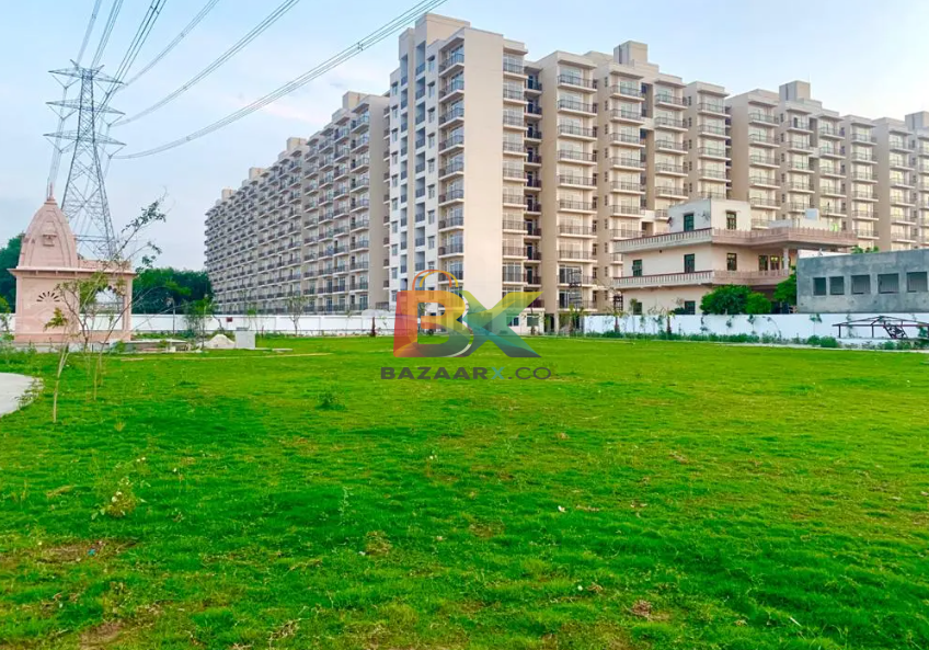 BZX Property