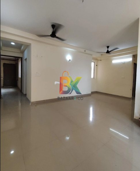 BZX Property