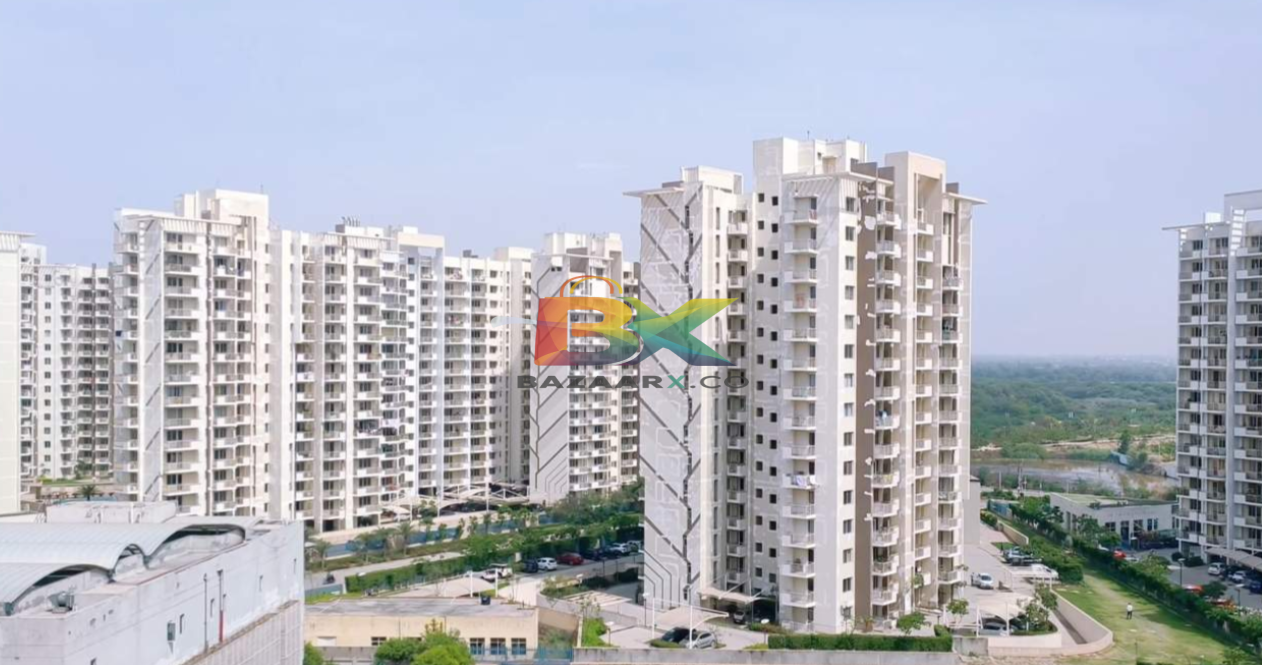 BZX Property