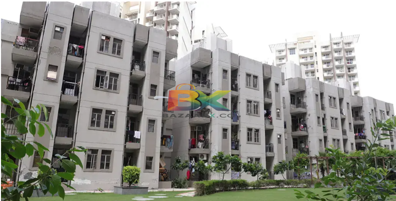 BZX Property