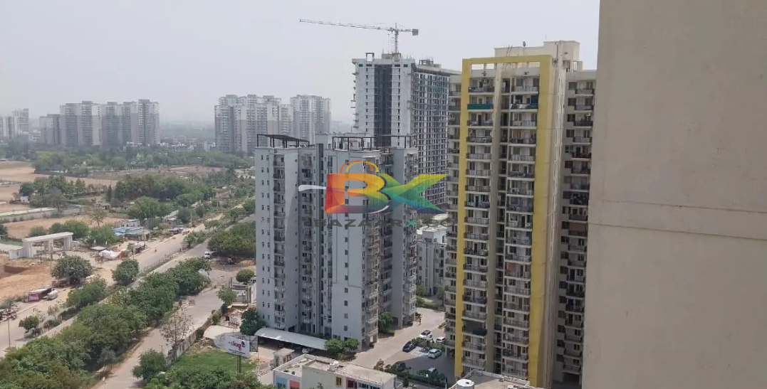 BZX Property