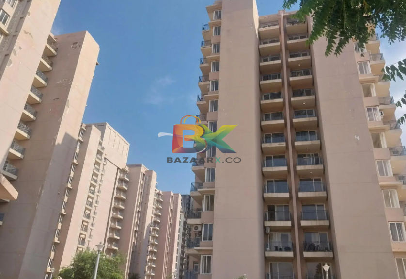 BZX Property