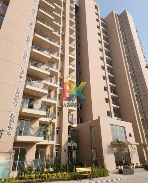 BZX Property