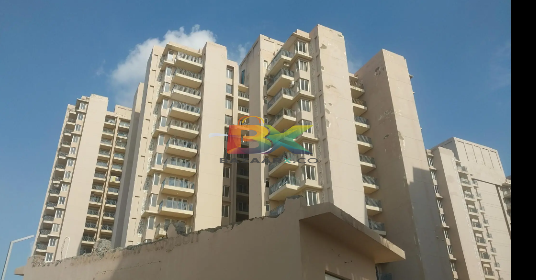 BZX Property