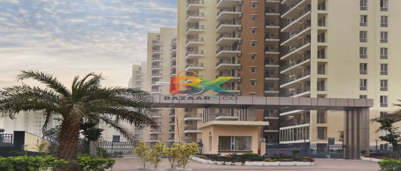 BZX Property