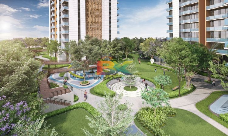 BZX Property