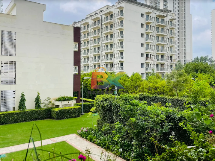 BZX Property