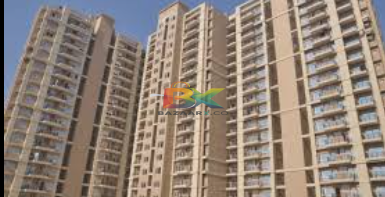 BZX Property