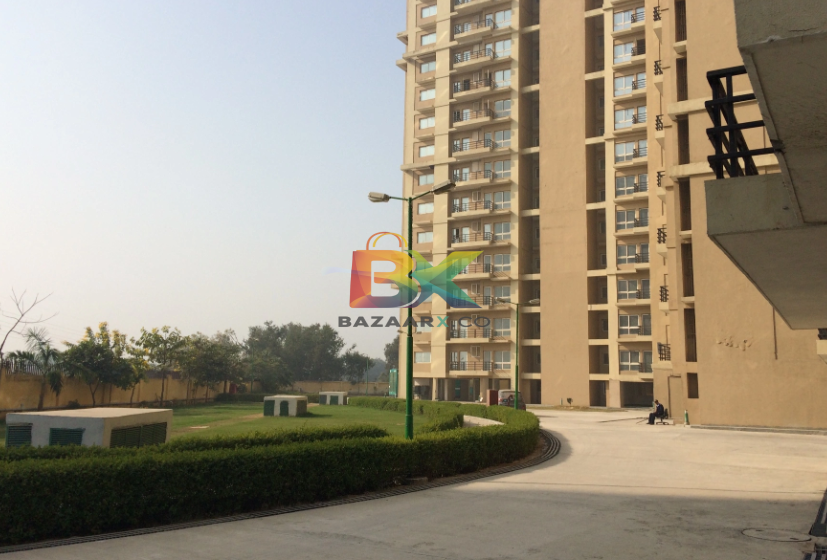 BZX Property