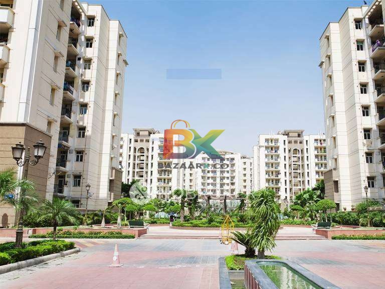 BZX Property