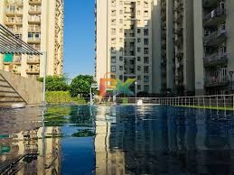 BZX Property