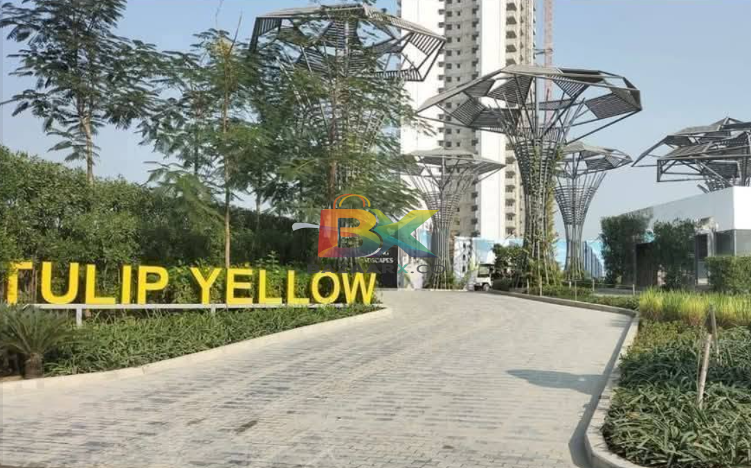 BZX Property