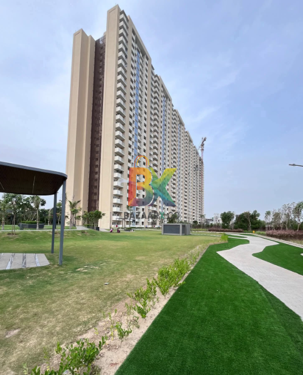 BZX Property