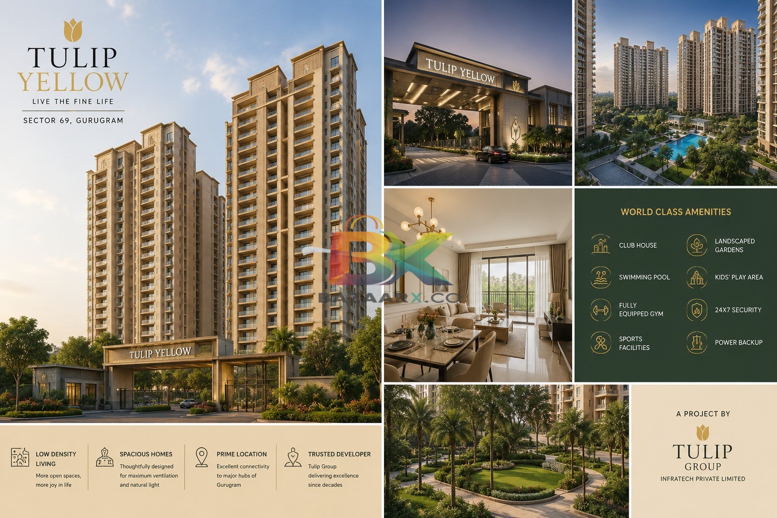 BZX Property