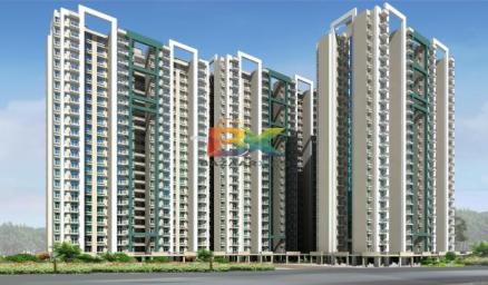 BZX Property
