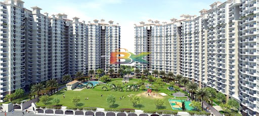 BZX Property