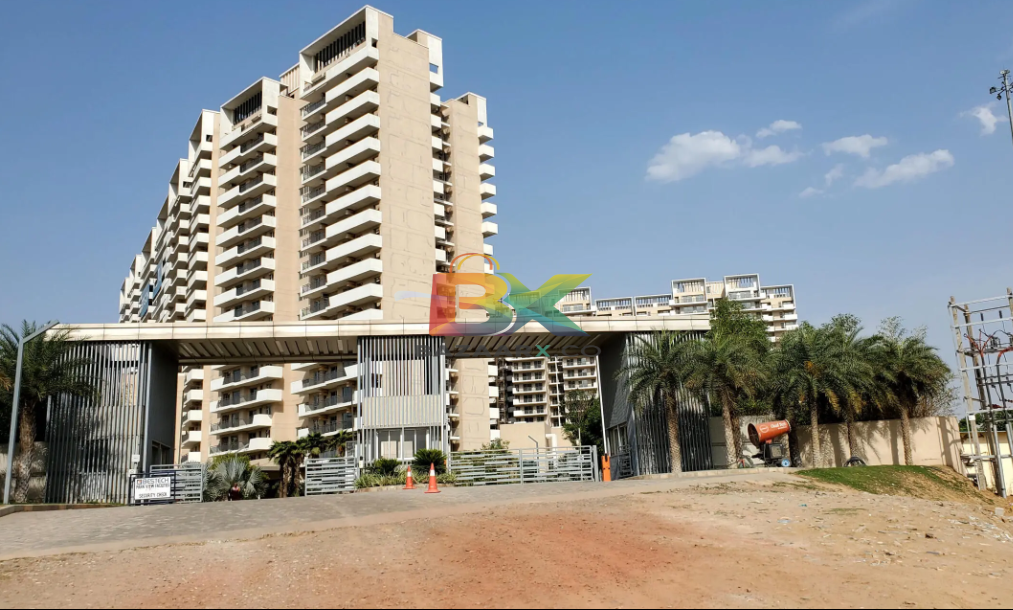 BZX Property