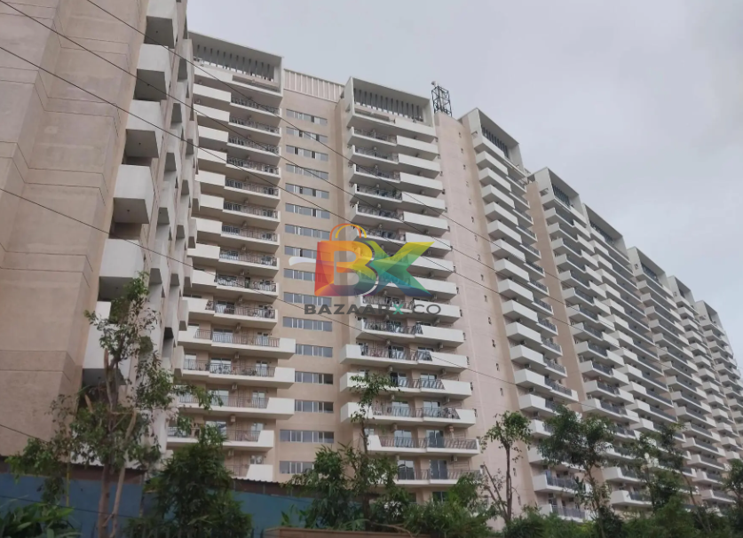 BZX Property